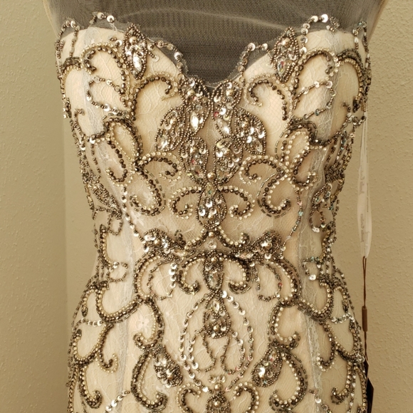 👀Champagne & Gray Bead Trumpet Gown - Picture 7 of 8